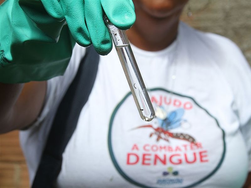 MA registra o triplo de casos de dengue do que em 2014, diz pesquisa