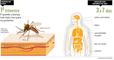 dengue e zika2