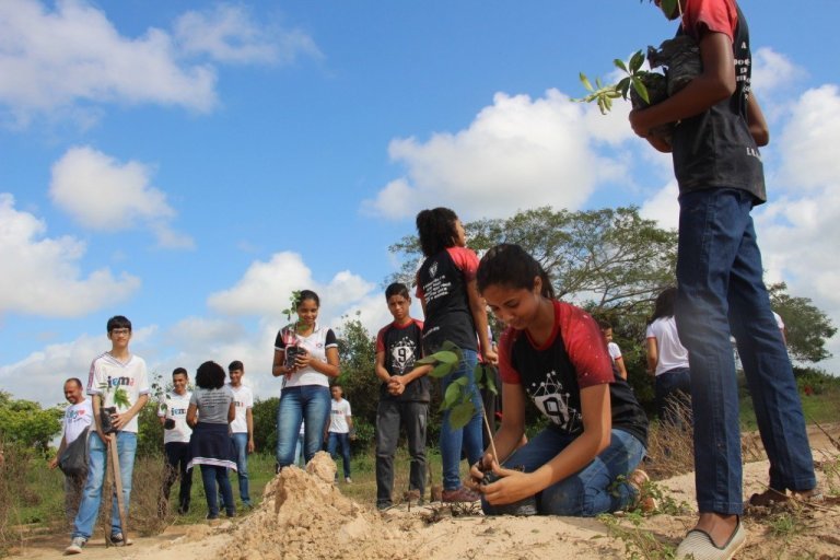 Estudantes participam de plantação às margens do Rio Pindaré