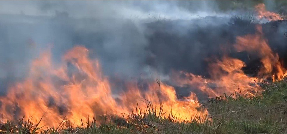Maranhão registra mais de mil focos de incêndio em cinco meses, aponta INPE