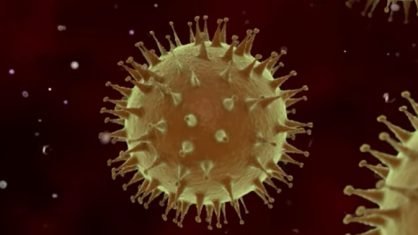 Sobe para 3 o número de casos confirmados de Coronavírus em Santa Inês