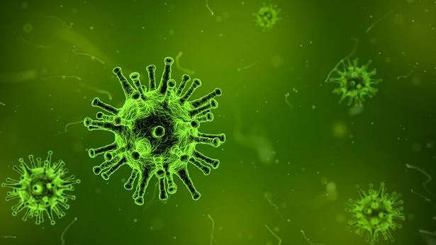Bela Vista registra 6 casos confirmados do coronavírus no município