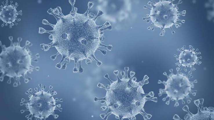 Mais de 200 casos confirmados de coronavírus em Santa Inês