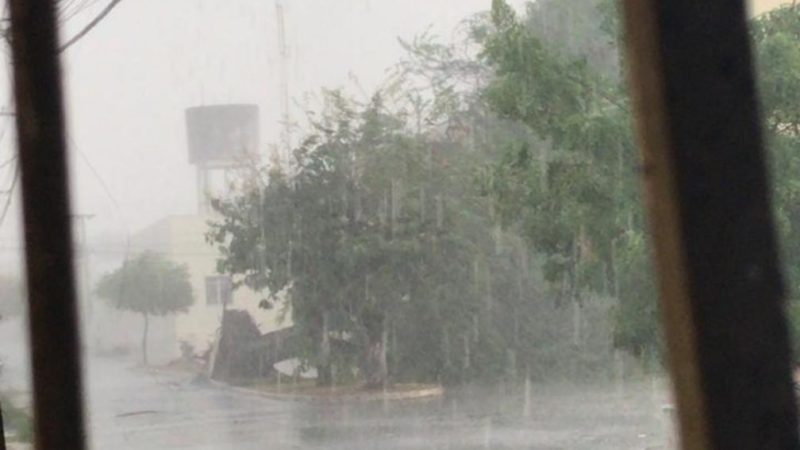 Chuva e ventos fortes derrubam árvores e assustam moradores em Pindaré Mirim